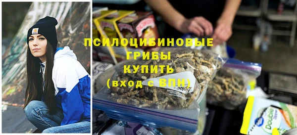 дурь Зеленокумск