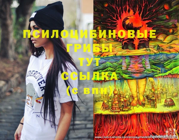 прущий лед Лиски
