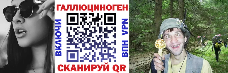 Галлюциногенные грибы Psilocybine cubensis  наркошоп  MEGA ONION  Находка 