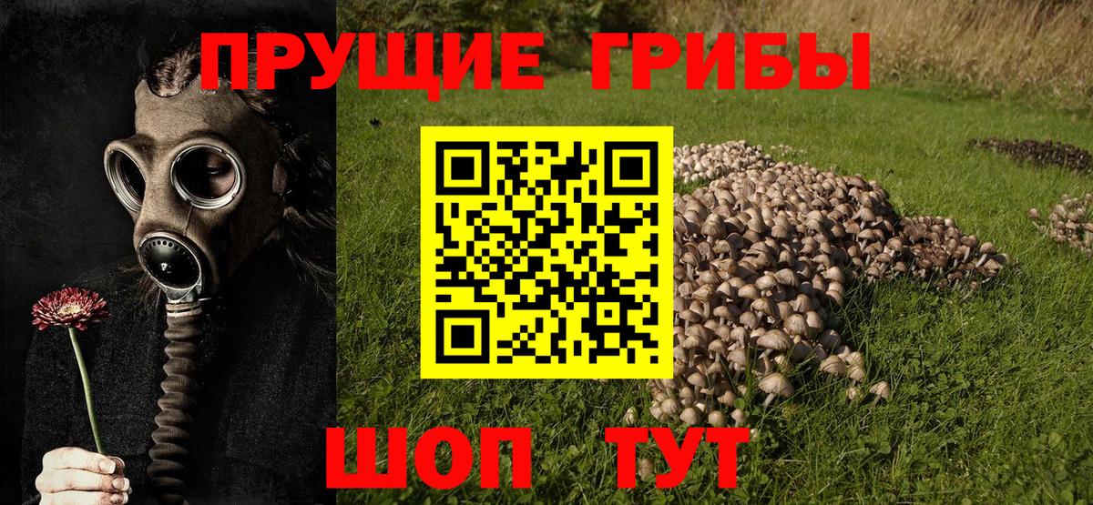 Псилоцибиновые грибы GOLDEN TEACHER  купить наркоту  Находка  Вход с VPN 